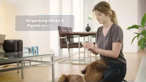 Video over FRONTLINE Spot on K oplossing voor katten, 3 st
