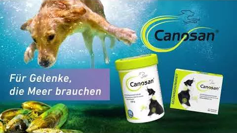 Video over CANOSAN Kauwtabletten dierenarts, 30 st
