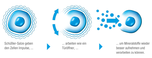 BIOCHEMIE DHU 3 Ferrum phosphoricum D 6 tabletten, 200 st