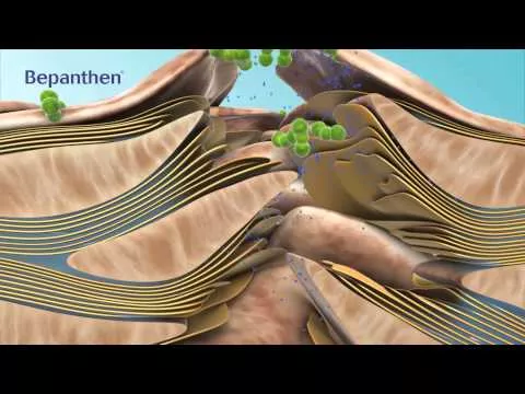 Video over Bepanthen Sensiderm-crème, 20 g
