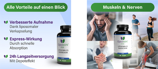 GLYCOWOHL vital liposomaal magnesium hooggedoseerde capsules, 120 st