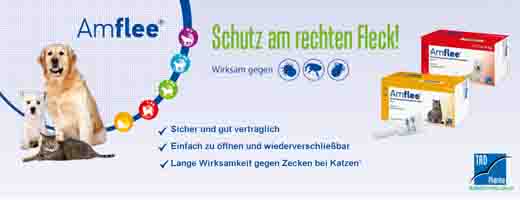 AMFLEE 402 mg spot-on oplossing voor zeer grote honden 40-60kg, 3 st