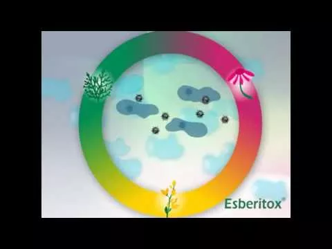 Video over Esberitox® Compact voor verkoudheid, 60 st