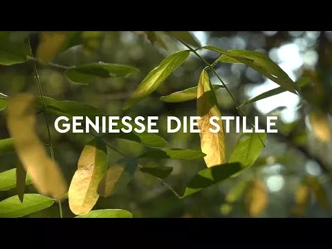 Video over Kneipp-badkristallen bosbad dennenspar, 600 g