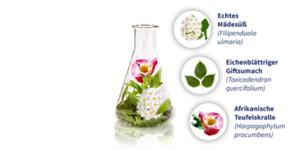 GELENCIUM arthro-mengsel, 2X100 ml