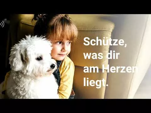 Video over Ticster Plus Spot-on oplossing voor honden zwaarder dan 25 kg (3x4,8 ml)
