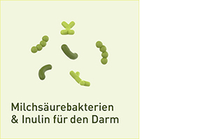 NUPURE probaflor Probiotica voor darmherstel Kps, 30 stuks