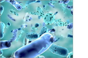 PROBIELLE Immuuncapsules, 90 stuks