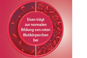EISEN DIREKT plus vitamine C+foliumzuur+B12 poeder, 60 stuks