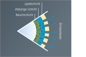 HYLOVIS lipo-oogdruppels pipetten voor eenmalig gebruik, 30X0,4 ml