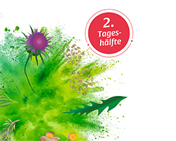 BASEN AKTIV Thee nr. 2 Paardebloem Biologische Salus, 40 stuks