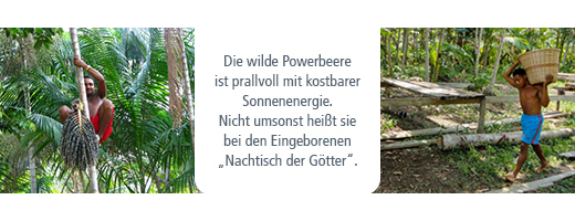 ACAI 100% organisch poeder zonder draagstoffen, 80 g