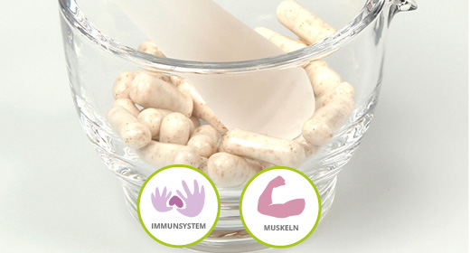 L-CARNITIN 500 capsules, 100 st
