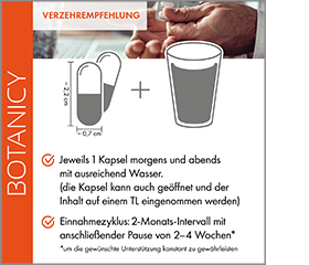 ZÜNDEX forte Complex met OptiMSM Capsules, 60 Capsules