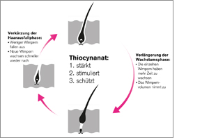 THIOCYN Wimperserum, 8 ml