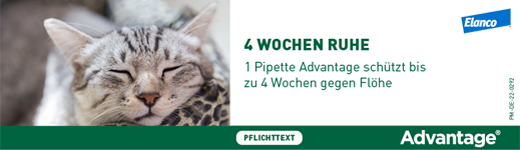 ADVANTAGE 80 mg voor grote katten en konijnen, 4X0,8 ml