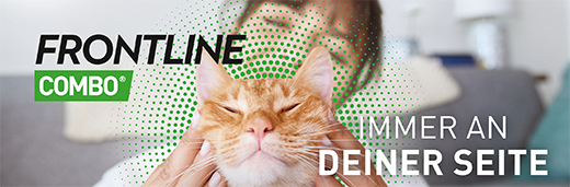 FRONTLINE Combo Spot on preparaat voor kattenhuid, 3 stuks
