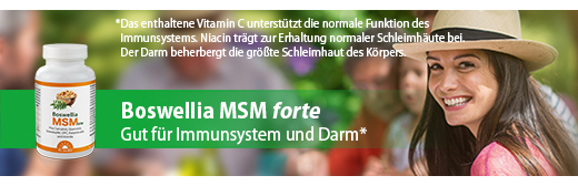 BOSWELLIA MSM forte Dr.Jacobs tabletten, 90 stuks
