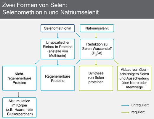 SELENASE 200 XXL tabletten, 90 stuks