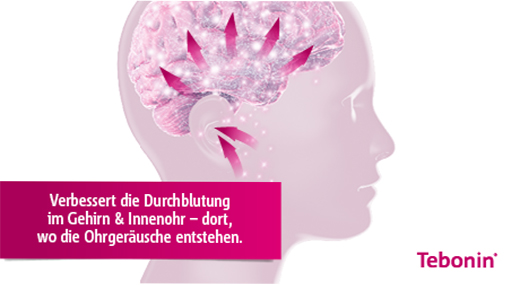 TEBONIN intensieve 120 mg filmomhulde tabletten, 200 stuks