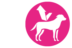 FRONTLINE Tri-Act druppeloplossing voor honden 40-60kg, 3 st