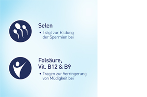 ELEVIT voor Men tabletten, 90 stuks