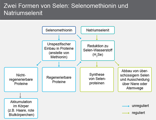 SELENASE 100 XL tabletten, 90 stuks