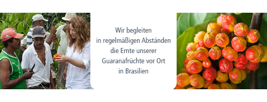 GUARANA BIO Puur poeder, 100 g