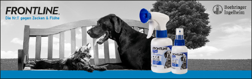 FRONTLINE Spray voor honden/katten, 250 ml