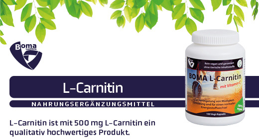 L-CARNITIN 500 capsules, 100 st