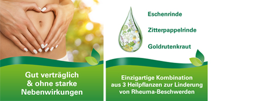 PHYTODOLOR Tinctuur, 100 ml
