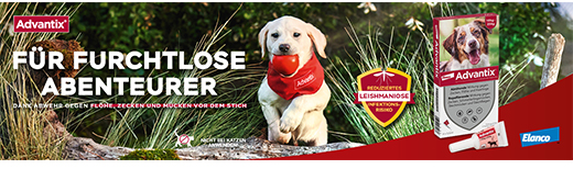 ADVANTIX Spot-on oplossing voor toepassing op de huid voor honden 40-60 kg, 4X6.0 ml