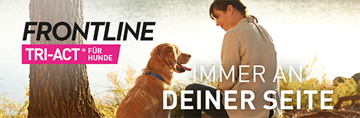 FRONTLINE Tri-Act druppeloplossing voor honden 40-60kg, 3 st