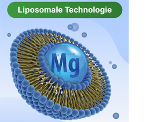 GLYCOWOHL vital liposomaal magnesium hooggedoseerde capsules, 120 st