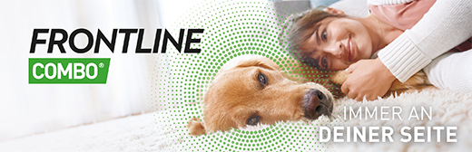 FRONTLINE Combo Spot on Hond XL Oplossing voor aanbrengen op de huid, 3 stuks