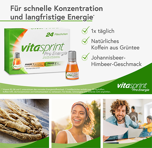 VITASPRINT Pro Energy Drinkflessen, 24 stuks