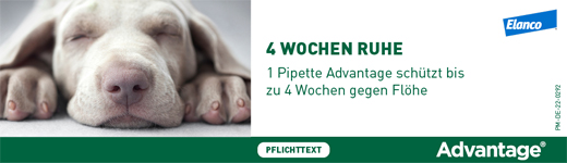 ADVANTAGE 250 oplossing voor honden 10-25 kg, 4 stuks