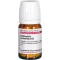 CHIMAPHILA UMBELLATA D 12 tabletten, 80 stuks