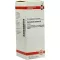 CORIANDRUM sativum moedertinctuur D 1, 50 ml