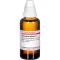 CORIANDRUM sativum moedertinctuur D 1, 50 ml