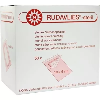 RUDAVLIES-steriele verbandpleister 6x10 cm, 50 st
