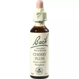 BACHBLÜTEN Kerspruimdruppels, 20 ml