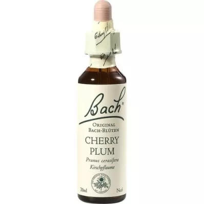 BACHBLÜTEN Kerspruimdruppels, 20 ml