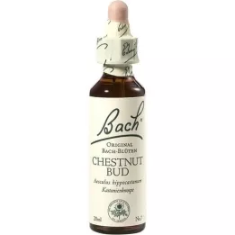 BACHBLÜTEN Kastanjeknopdruppels, 20 ml