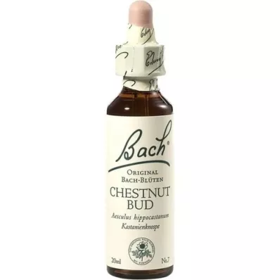 BACHBLÜTEN Kastanjeknopdruppels, 20 ml BACHBLÜTEN Kastanjeknopdruppels, 20 ml