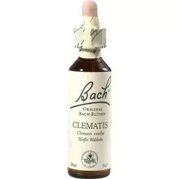 BACHBLÜTEN Clematisdruppels, 20 ml