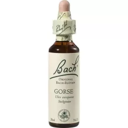 BACHBLÜTEN Gaspeldoorndruppels, 20 ml