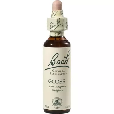 BACHBLÜTEN Gaspeldoorndruppels, 20 ml BACHBLÜTEN Gaspeldoorndruppels, 20 ml