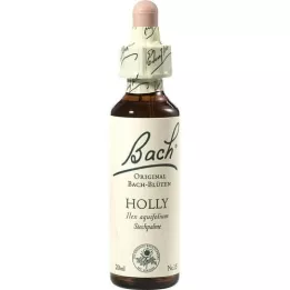 BACHBLÜTEN Hulstdruppels, 20 ml
