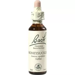 BACHBLÜTEN Kamperfoeliedruppels, 20 ml